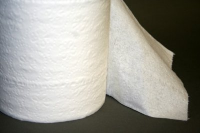 Top Quality 2-Ply Toilet Bath Tissue Individually Wrapped (96 Rolls, 500 Sheets per Roll)