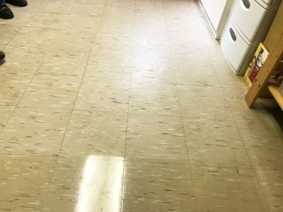 PACIFIC FM-20ORB Orbital Scrubber with 40 Pound Weight Kit and Velcro Pad Gripper Included FREE